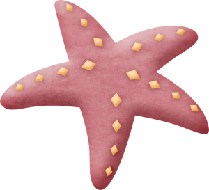 a pink starfish